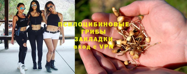трава Волоколамск